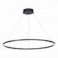 Подвесной светодиодный светильник ST Luce ST605.443.46 - фото №2