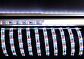 Лента светодиодная Deko-Light 3528-2x72-12V-RGB+3000K-3m 840211 - фото №1