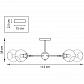 Потолочная люстра Lightstar Beta 785086 - фото №3