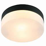 Потолочный светильник Arte Lamp Aqua-Tablet A6047PL-1BK