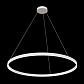 Подвесной светодиодный светильник Maytoni Rim MOD058PL-L54W4K - фото №4