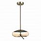 Подвесной светодиодный светильник ST Luce Ozzio SL6108.303.01 - фото №1