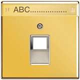 Накладка Jung GO2969-1NAUA