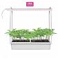 Светодиодный светильник для растений Uniel Minigarden ULT-P54-10W/SPSB IP20 White UL-00007146 - фото №1