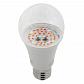 Лампа светодиодная для растений ЭРА E27 12W 1310K прозрачная Fito-12W-RB-E27 Б0050601 - фото №5