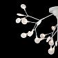 Потолочная люстра Freya Florencia FR5049CL-36W1 - фото №4