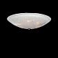 Потолочный светильник Lightstar Zucche 820860 - фото №3