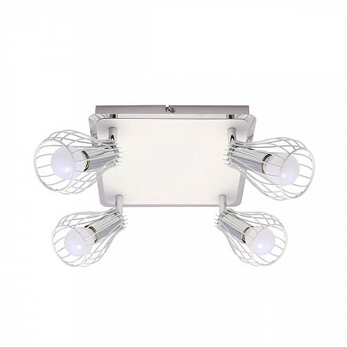 Спот Zumaline Oscar CK170519-4