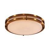 Светильник Citilux CL709403