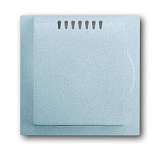 Лицевая панель ABB 2CKA006599A2919