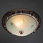 Потолочный светильник Arte Lamp 28 A3014PL-2AC - фото №4