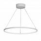 Подвесной светодиодный светильник Vitaluce V04665-03/1S - фото №1