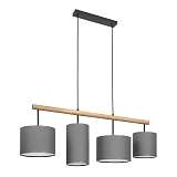 Светильник TK Lighting 4458 Deva Graphite