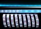 Лента светодиодная Deko-Light 5050-2x30-12V-RGB+6500K-3m 840060 - фото №1