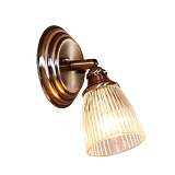 Спот Citilux CL539511