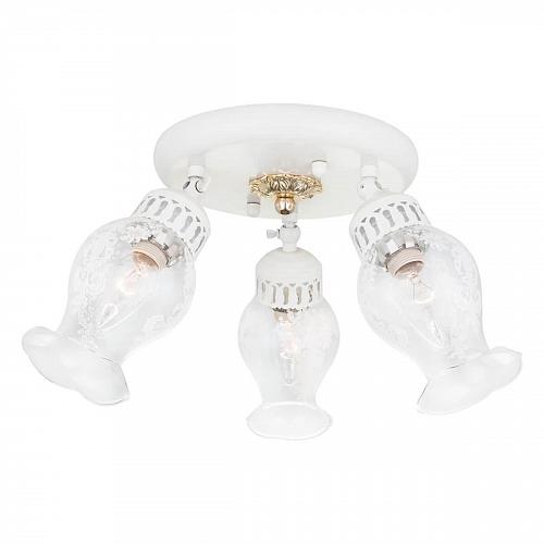 Спот Citilux Метафора CL413132