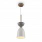Подвесной светильник Maytoni Cloches MOD113PL-01W - фото №1