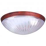 Светильник Horoz 400-031-104