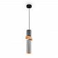 Подвесной светильник Maytoni Palette MOD303PL-01CFL2 - фото №1