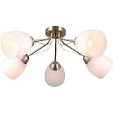 Потолочная люстра Illumico IL0333-5CSQ-79 AB