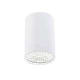 Светильник Citilux CL558100