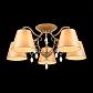 Потолочная люстра ST Luce Rimonio SL1135.102.05 - фото №3