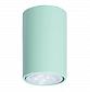 Потолочный светильник TopDecor Tubo6 P1 30 - фото №1