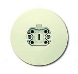 Розетка ABB 2CKA002520A0047