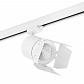 Трековый светодиодный светильник Lightstar Canno Led (301562+202996) C156296 - фото №1