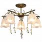 Потолочная люстра Toplight Delia TL1195X-05AB - фото №1