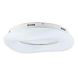 Потолочный светодиодный светильник Divinare 8003/60 PL-1