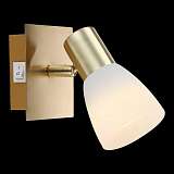 Спот Globo 54538-1