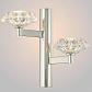 Бра Crystal Lux Rebeca AP2 Nickel - фото №2