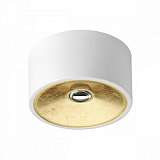 Светильник Odeon Light 3892/1C