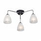 Потолочная люстра Vitaluce V4500-9/3PL - фото №1