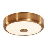 Потолочный светодиодный светильник Citilux Фостер-1 CL706122