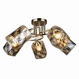 Люстра Wedo Light 66366.01.05.05