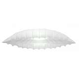 Потолочный светильник Arte Lamp Botticelli A2188PL-2CC