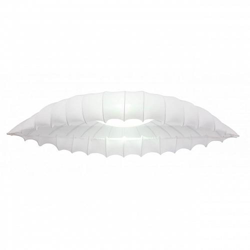 Потолочный светильник Arte Lamp Botticelli A2188PL-2CC