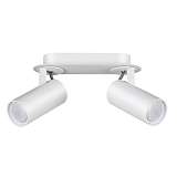 Спот Odeon Light 3873/2C