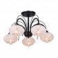 Потолочная люстра Toplight Roberta TL3700X-05BC - фото №1