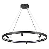 Подвесная светодиодная люстра Odeon Light Fonda 4317/93L