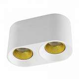 Потолочный светильник Denkirs DK3020WYE DK3096-WH+YE