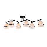 Люстра Silver Light 227.59.6