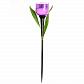Светильник на солнечных батареях Uniel Promo USL-C-453/PT305 Purple Tulip UL-00004278 - фото №1