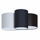 Потолочный светильник TopDecor Family P1 10 01g/02g/05g - фото №3