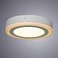 Потолочный светодиодный светильник Arte Lamp Antares A7816PL-2WH - фото №2