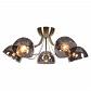 Потолочная люстра Lussole Lgo Gresham LSP-8368 - фото №1