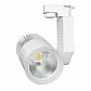 Трековый светодиодный светильник Elektrostandard Accord 30W 3300K 4690389112249 - фото №1