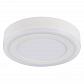 Потолочный светодиодный светильник Arte Lamp Antares A7816PL-2WH - фото №1